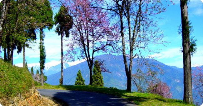 Thimphu Bhutan